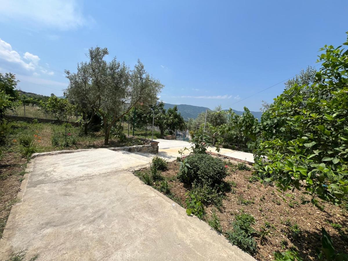 Titos Countryside Home - B&B