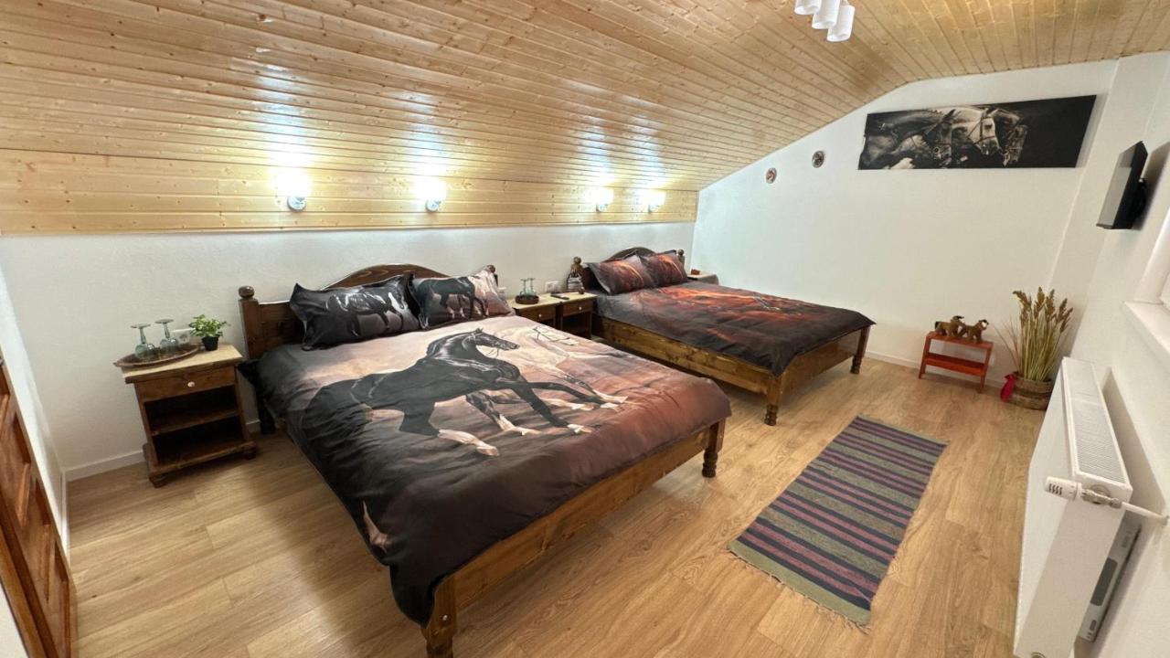 Casa Taraneasca "OM BUN" - B&B Alămor