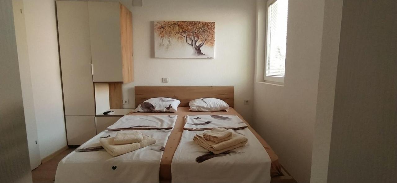 Suite Apartment