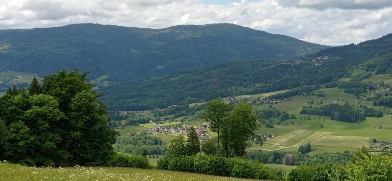 appartement indépendant dans ancien chalet d'alpage - B&B Burdignin