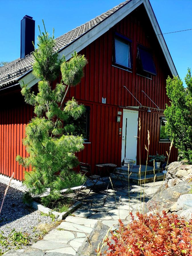 Tranquil Apartment in Picturesque Neighborhood - B&B Oslo