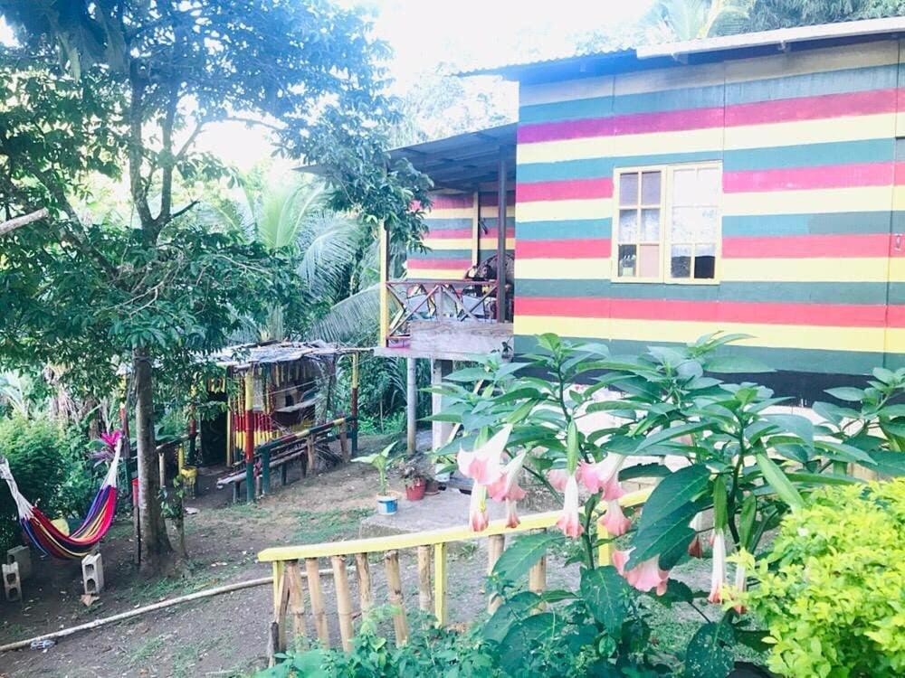 Nature in portland Eco Villas - B&B Port Antonio