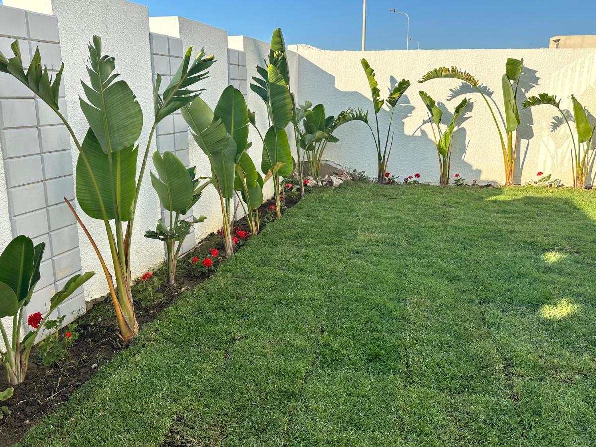 Villa rez de chaussée luxe - B&B Soliman