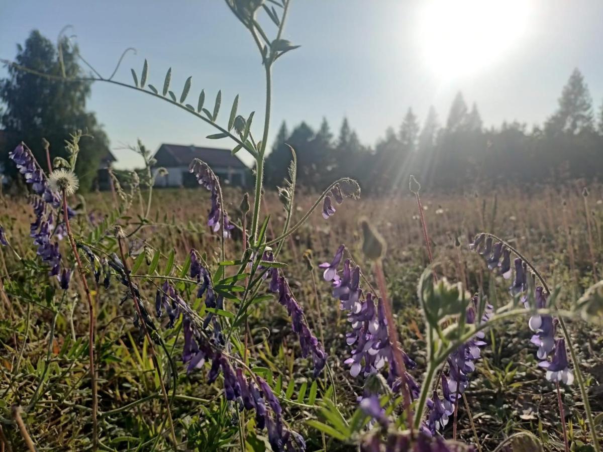 Warmińska Polana - Nowy, całoroczny dom na 2 ha łące dla 8 osób - Gietrzwałd - B&B