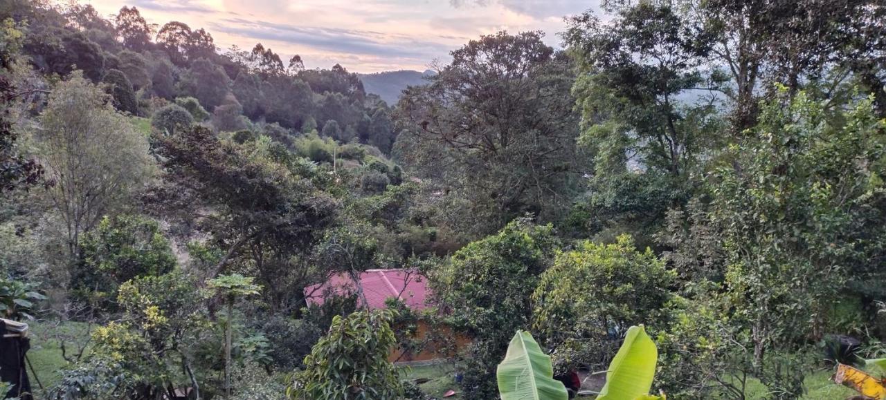 Mariposario La Crysalida - B&B