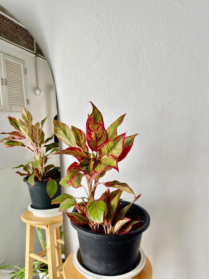 Appartamento con Vista