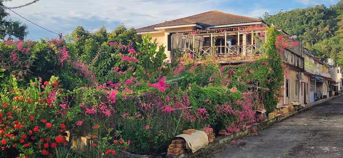 Bentong Hill Cottage - B&B Bentung