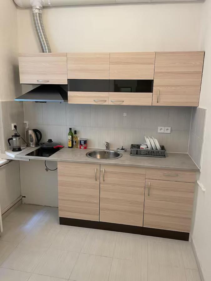 Private Room With Free Parking Next to Railway Station - Bed and Breakfast Praag