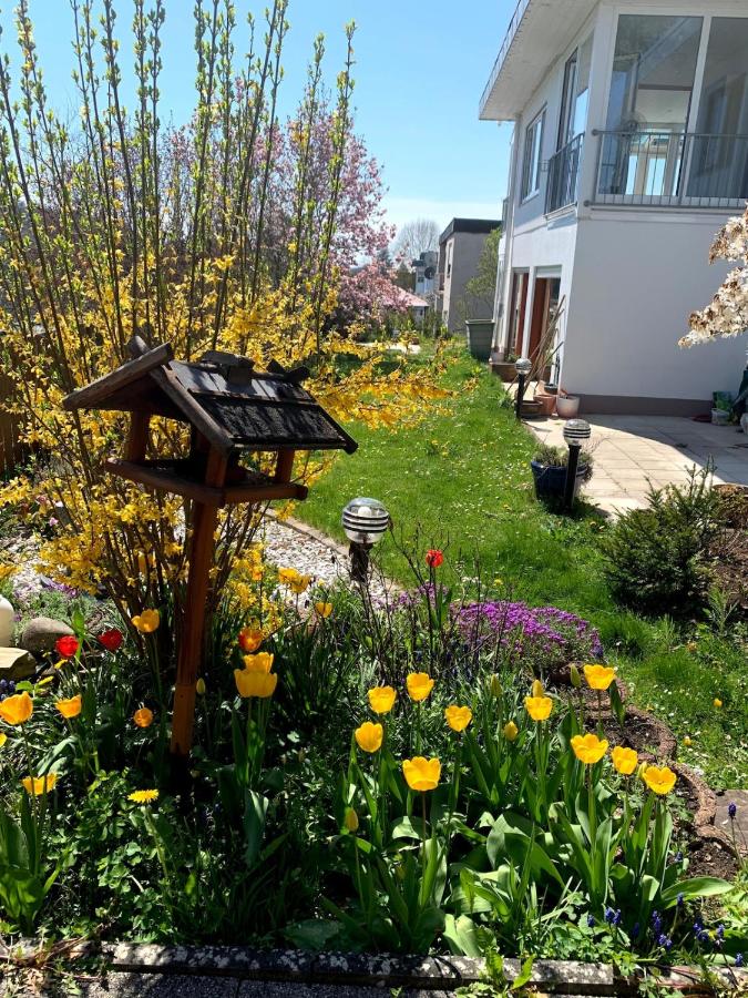 Peaceful Garden Apartment in Schweinfurt - B&B