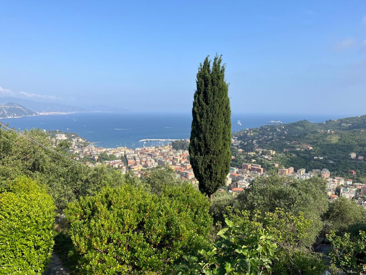 Villa Panorama with beautiful private garden - B&B Santa Margherita Ligure