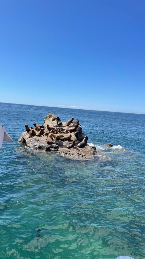 The Chilote Hideaway - B&B Aucar