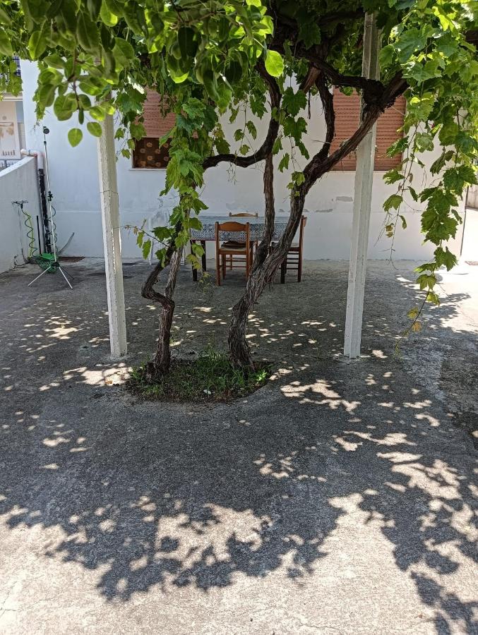 SunFra Retreat - B&B