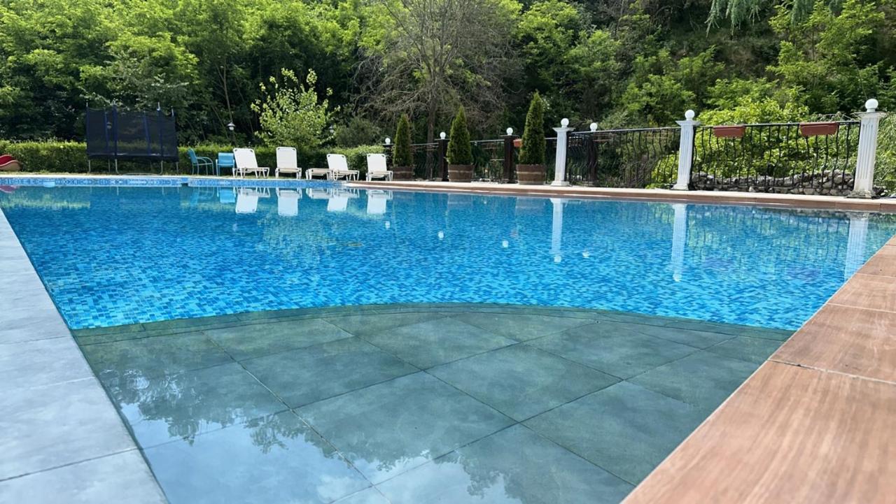 Villa Melnik SPA Residence with Hot Pool by BookVillaBG - B&B
