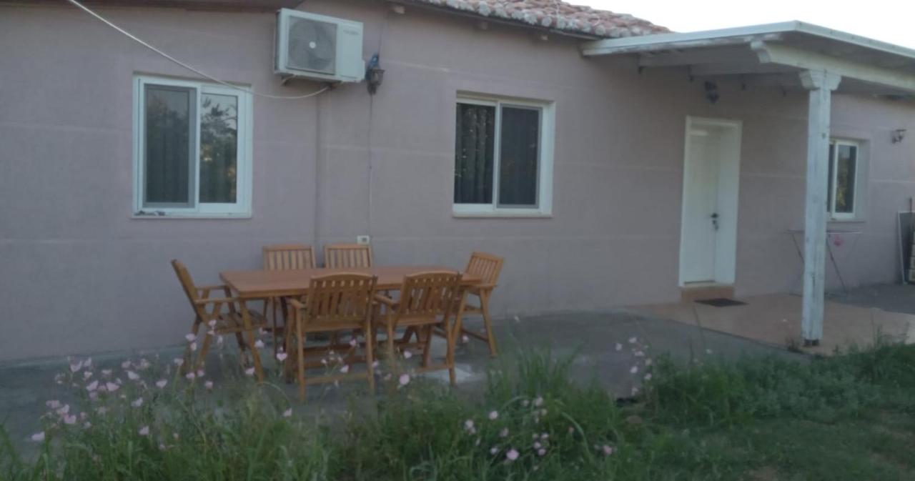 The Little Oasis Villa - B&B Scutari