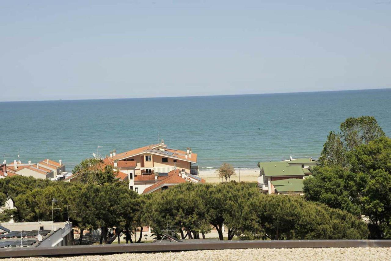 L T MiRAMARE - B&B Giulianova