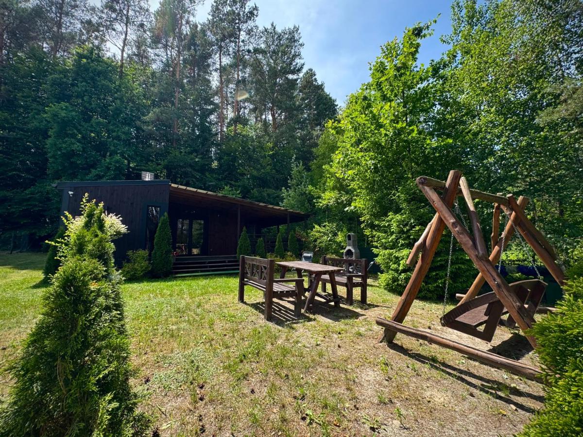 Sarzynówka pod Sosną - B&B