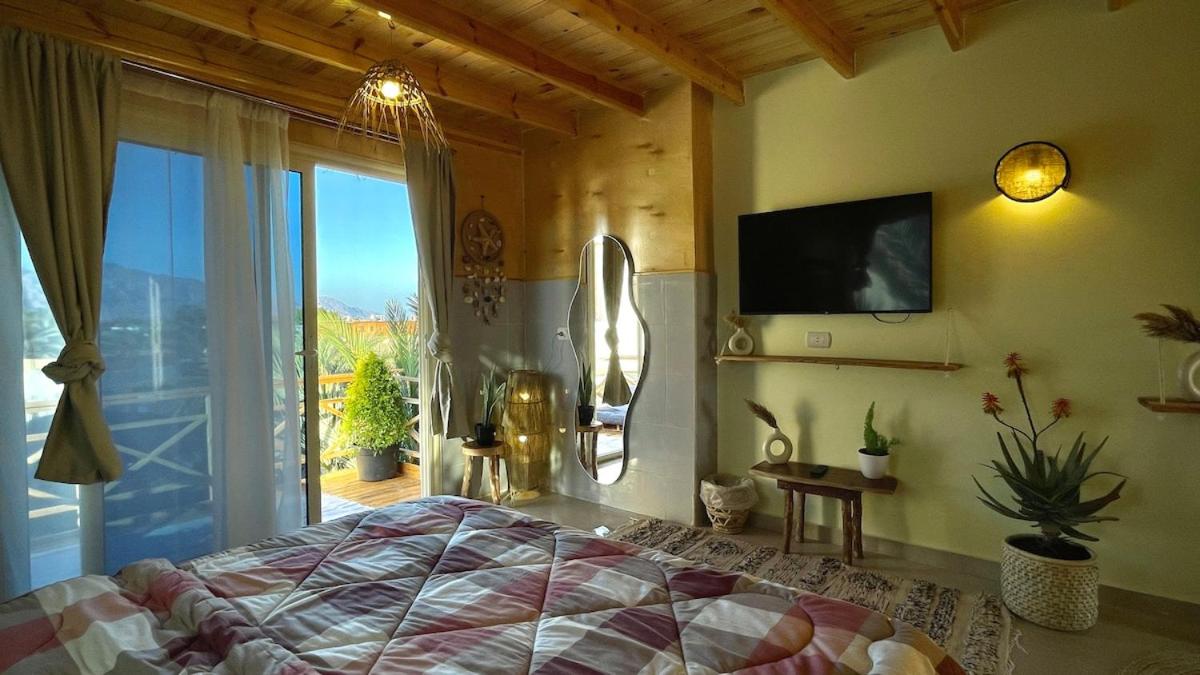 Palmwood Rooftop Studio 2 - Bed and Breakfast Dahab