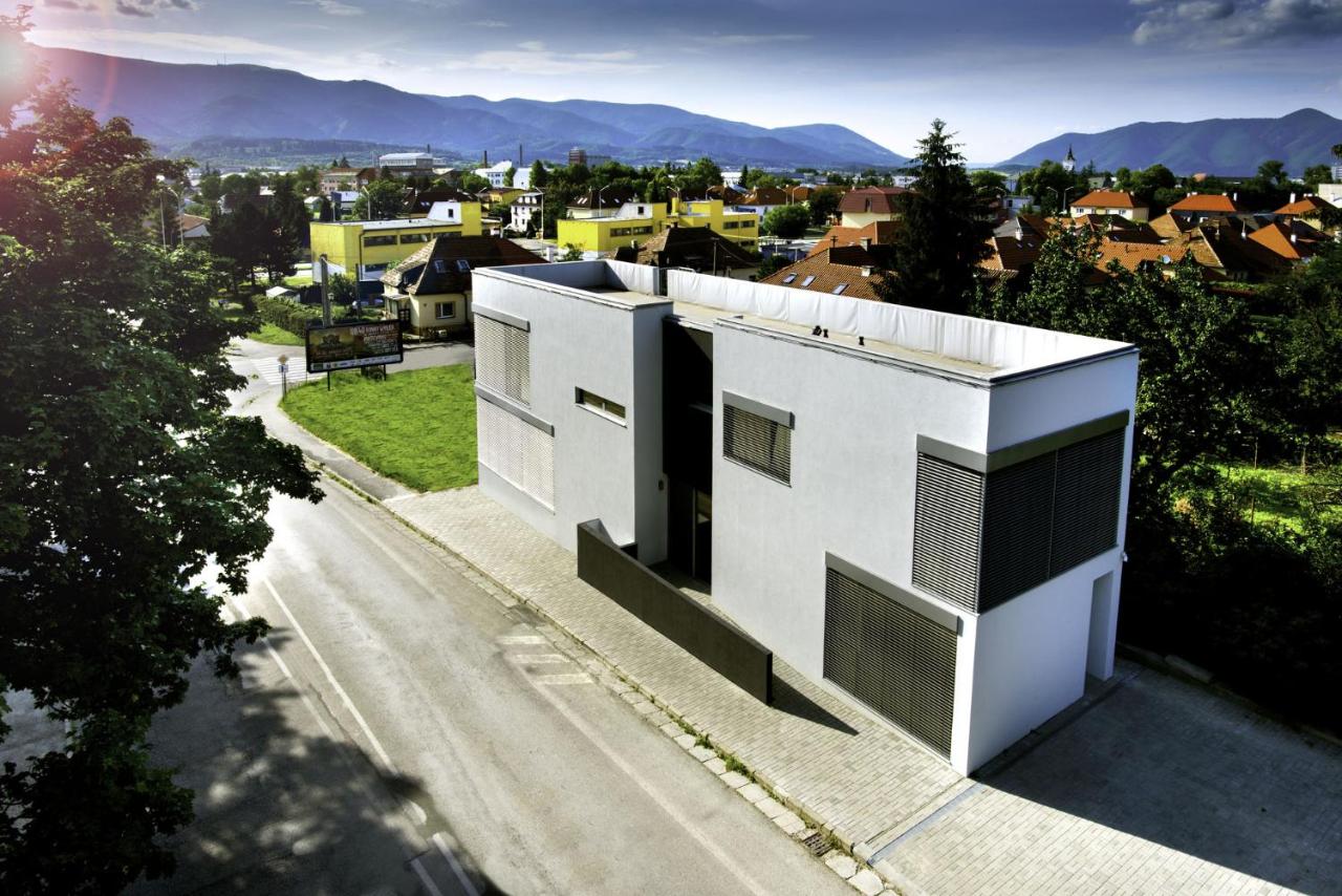 Villa Ľadoveň