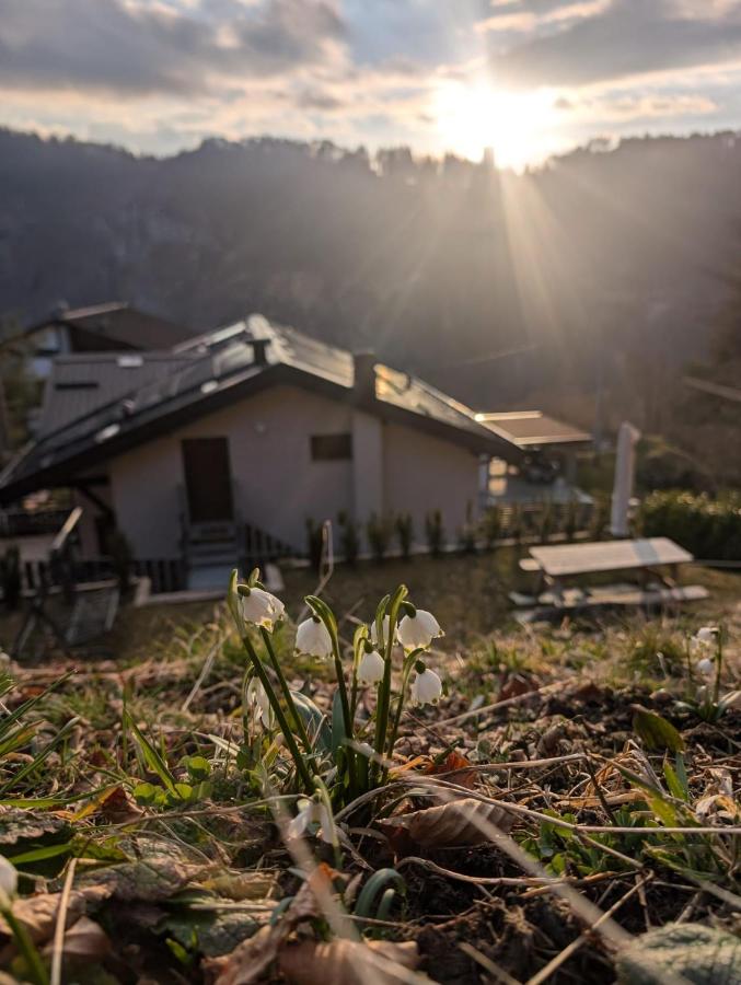 Casa vacanze Al Nibbio - B&B