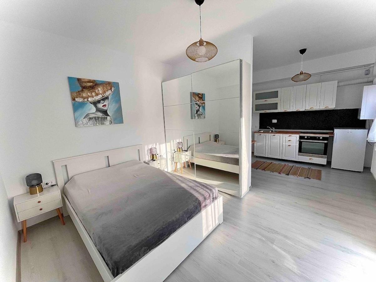 Otopeni Studio C1 3 Airport Therme - B&B Otopeni