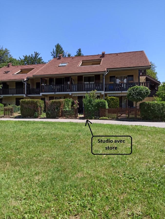 Studio en rez de jardin , vue montagne - B&B Saint-Bonnet-en-Champsaur