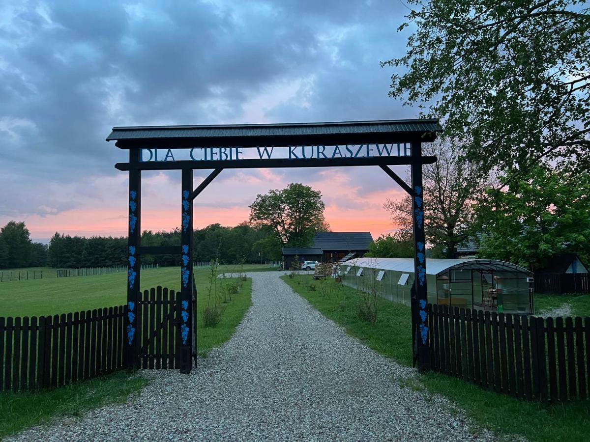 Dla Ciebie w Kuraszewie - B&B