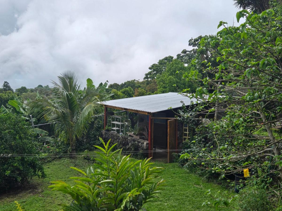 One-Bedroom Bungalow