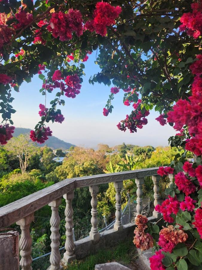 Deluxe Double or Twin Room with Garden View