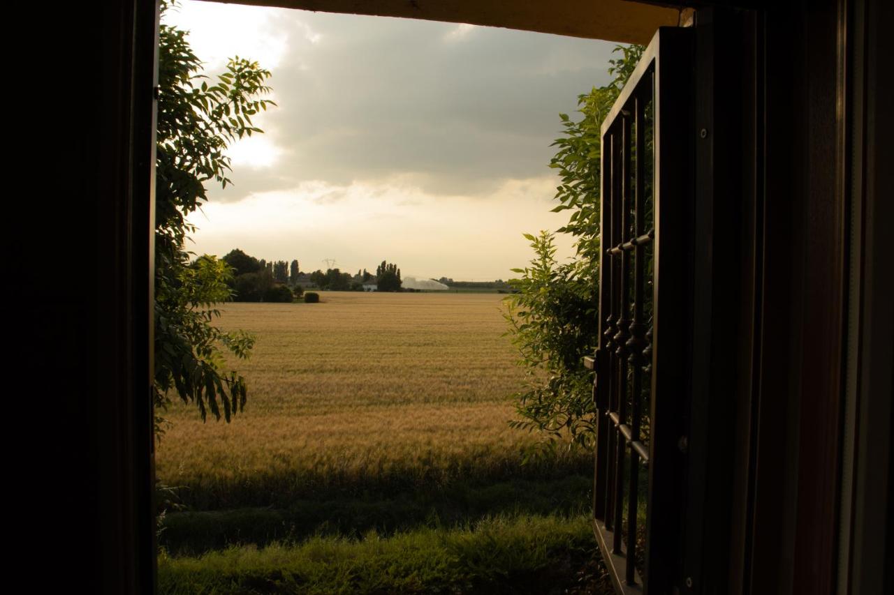 Stanza in Villa immersa nel verde con WiFi Vicino Bologna - B&B