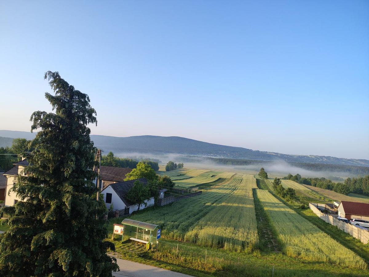 Pensjonat u Alicji - B&B Psary Kąty