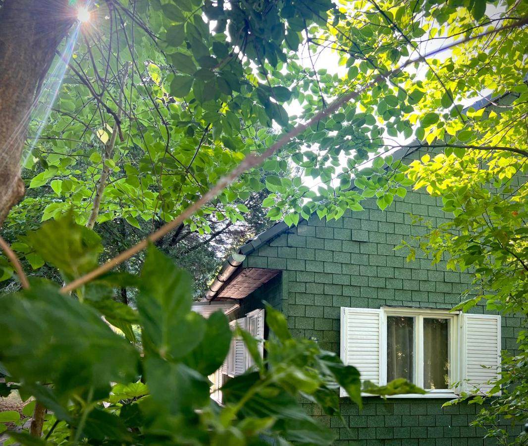 Rege 32 Vendégház - B&B