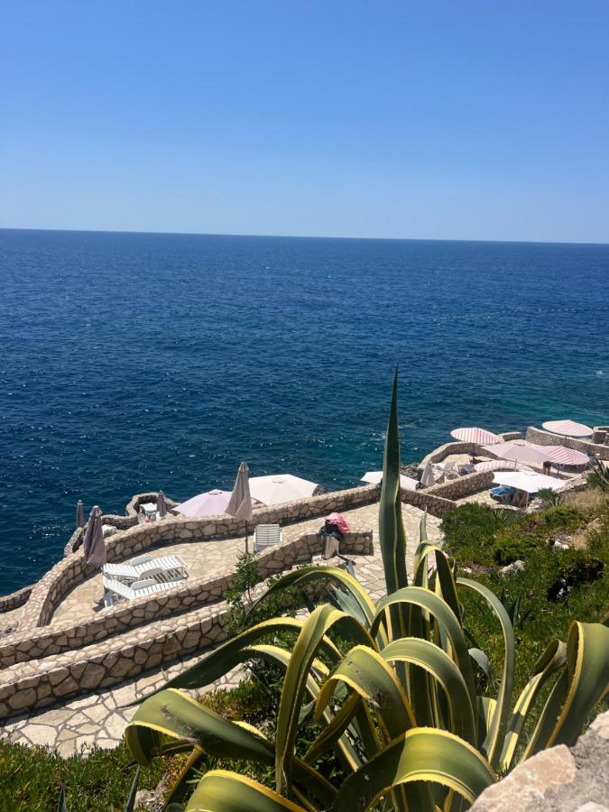 Beautiful comfort apartment - Chambres d’hôtes Kravlja