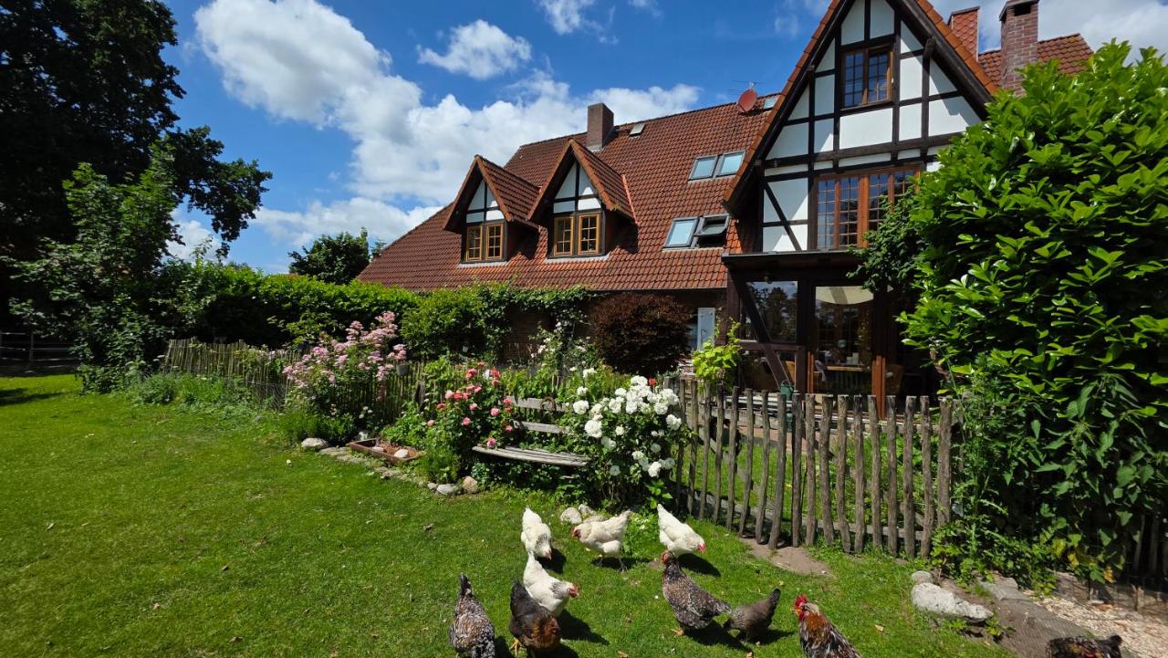 Landhaus Wohnung 30 Min bis Hamburg - B&B
