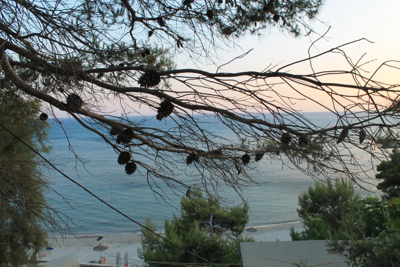 Beachfront Adriatic Sunset Vila - B&B Durrës
