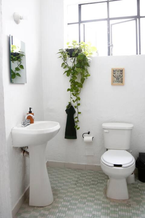 Tweepersoonskamer met Eigen Badkamer