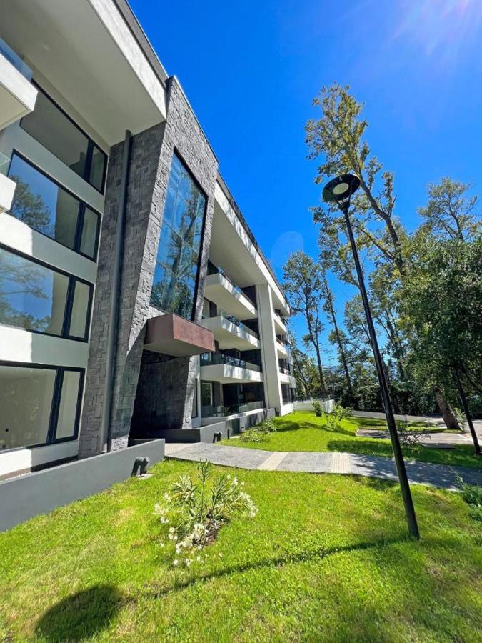 Acogedor departamento de lujo - B&B Pucón