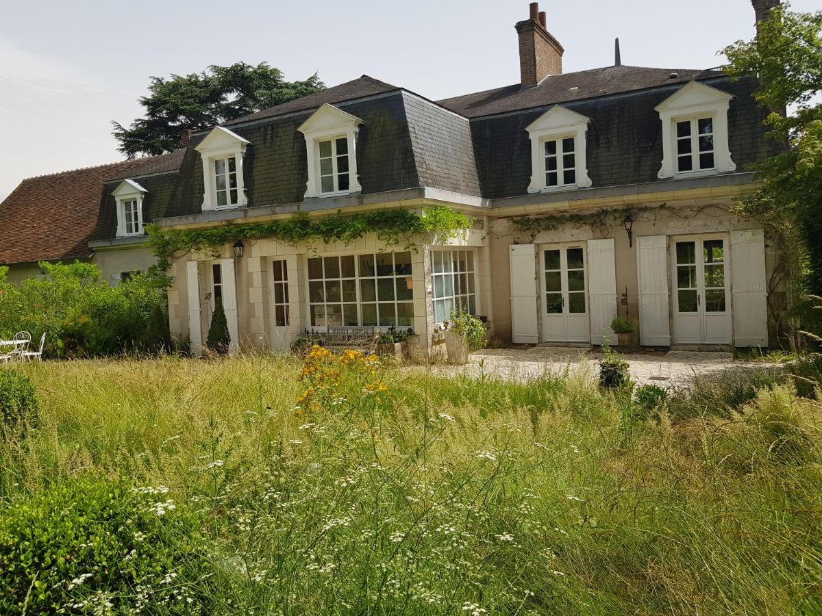 La Taille de Biou - B&B