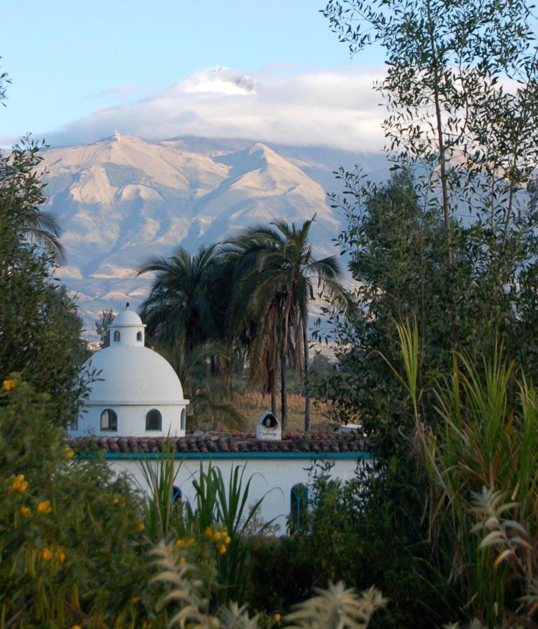 B&B Otavalo - Las Palmeras Inn - Bed and Breakfast Otavalo