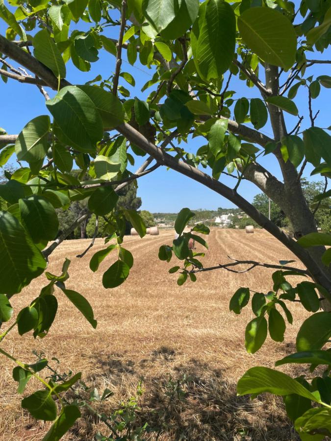 Trulli del Sole - B&B