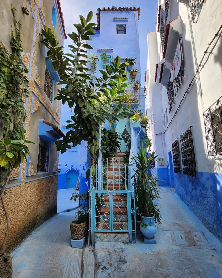DAR Dunia Panoramic terrace - B&B