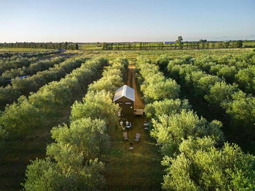 Olive Grove Retreat 2 by Tiny Away - B&B