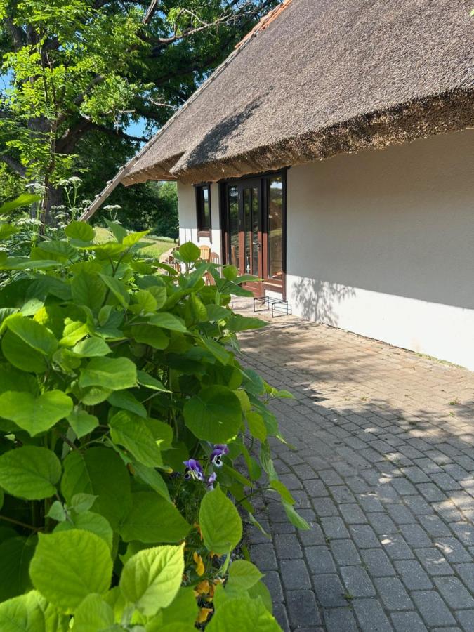 Lake House Denderi - B&B