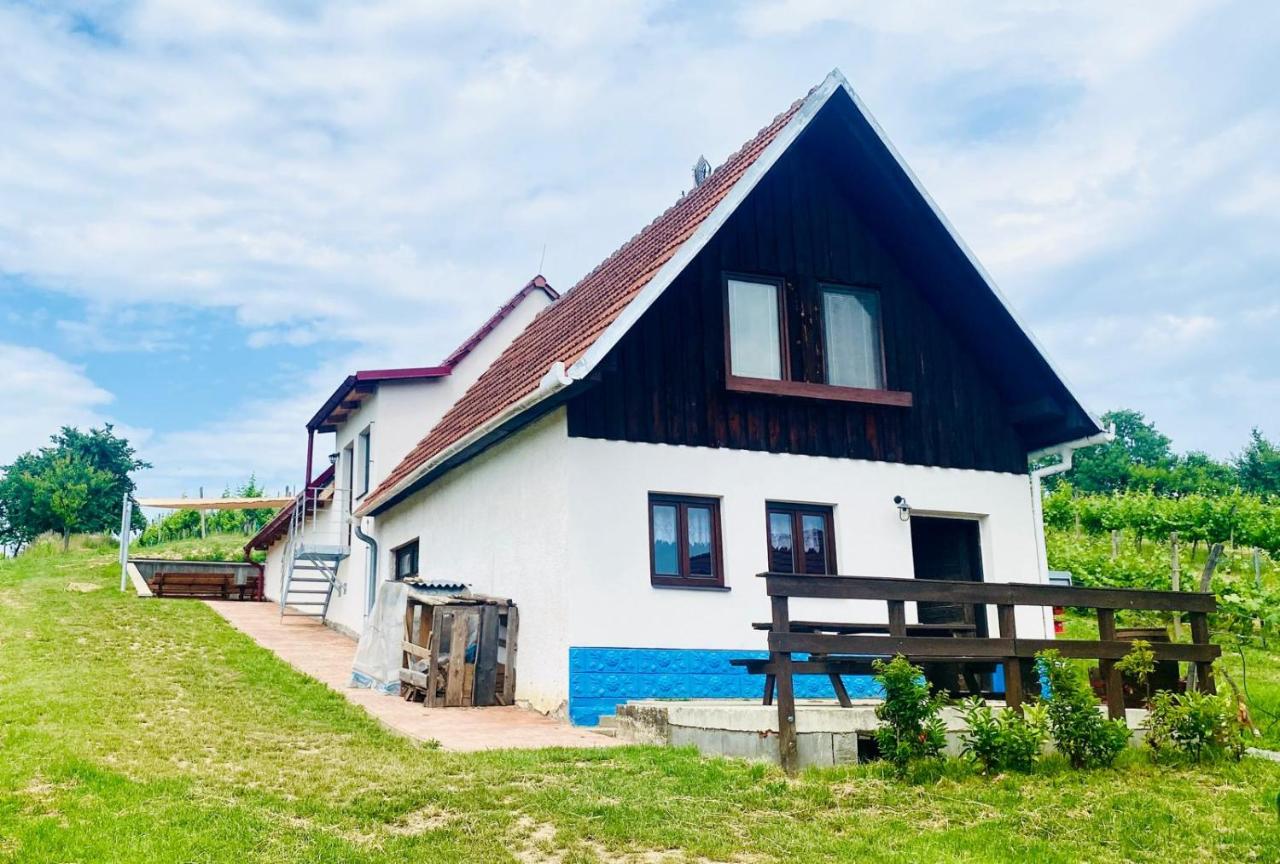 Vinný sklep U Ilčíků - B&B