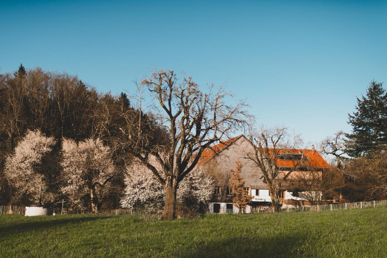 Hof Greut - B&B