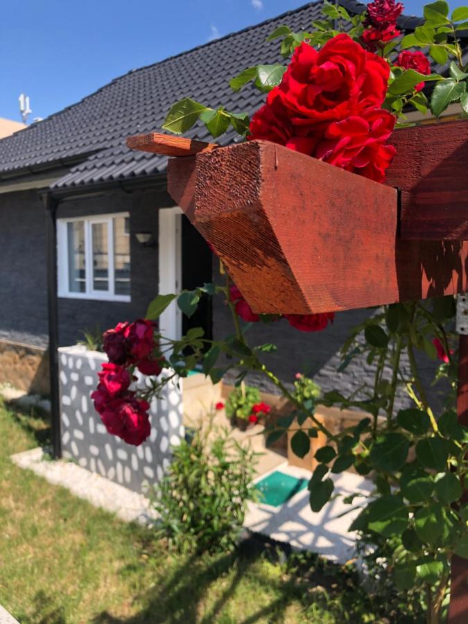 Ulita - B&B Bumbeşti-Jiu