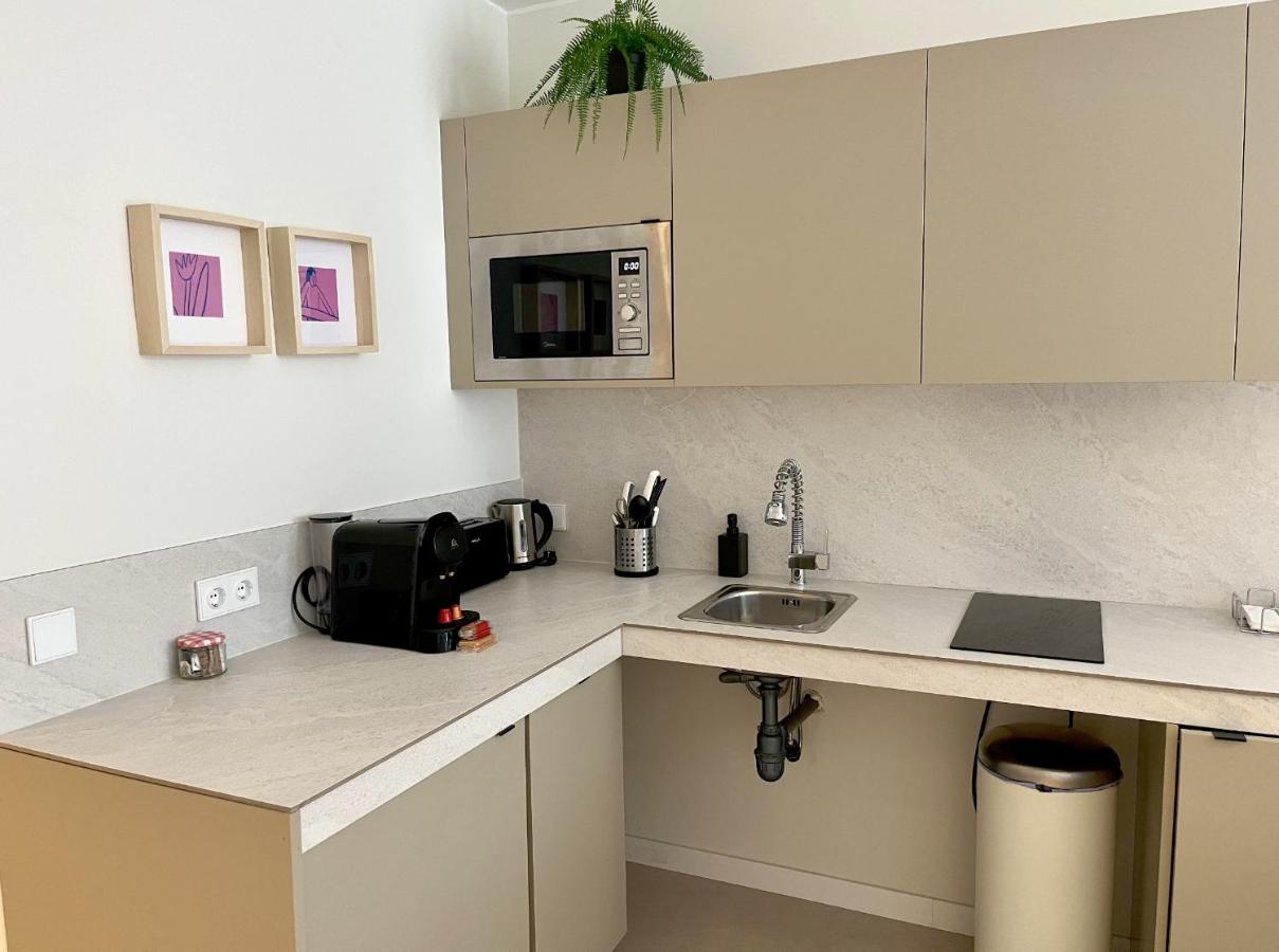 Osito Hub - Florista - B&B Valencia