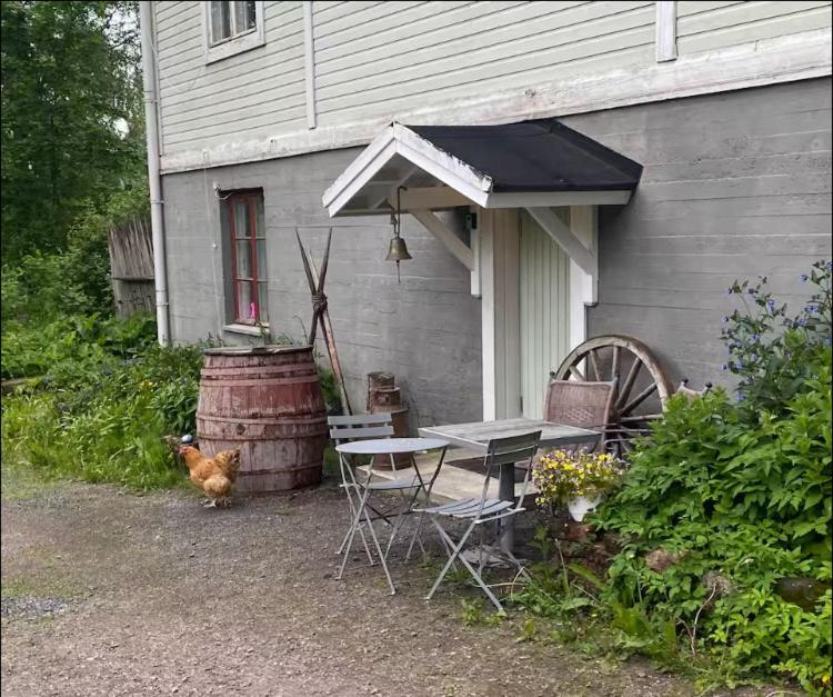 Villa Puistola Kellarimajoitus - B&B Hämeenlinna