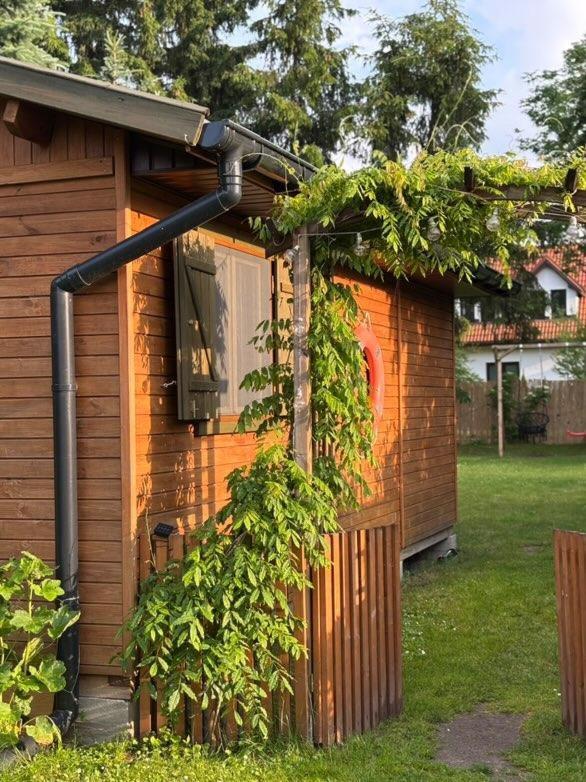 Butelkowa Zieleń - Ferienwohnung Wejsuny