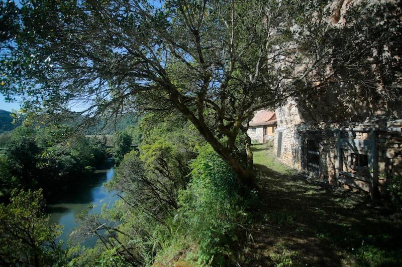 Semi-Troglodyte du Coustal - B&B