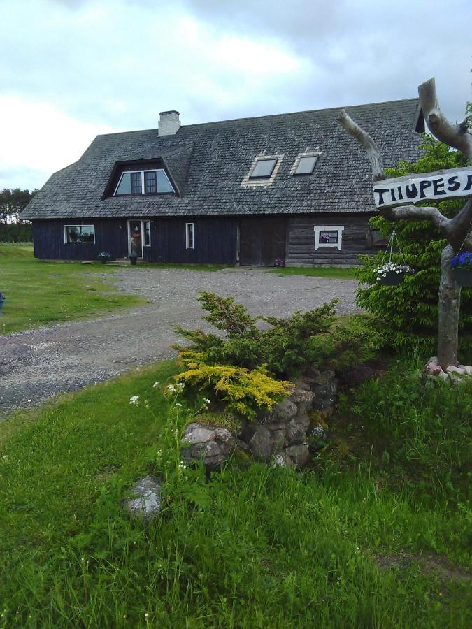 Tiiupesa Guest House - Bed and Breakfast Hellamaa